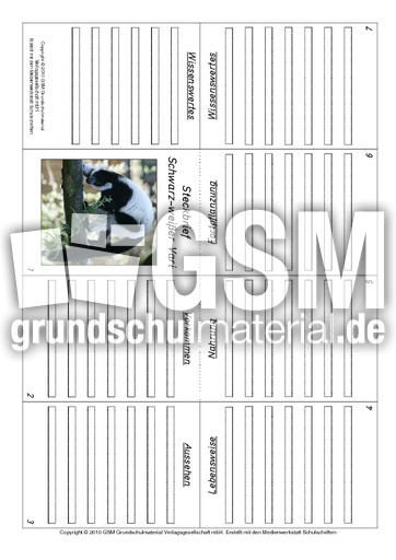 Faltbuch-Schwarz-weißer-Vari.pdf